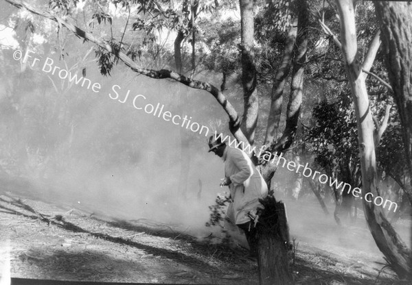 CHECKING A YOUNG BUSH FIRE